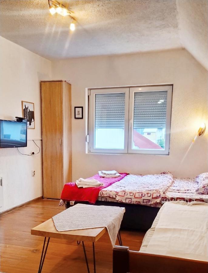 Apartmani Bozana Vojinovic Žabljak Exterior foto